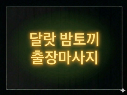 달랏 출장마사지 예약 및 가격,후기 안내 (2026년)